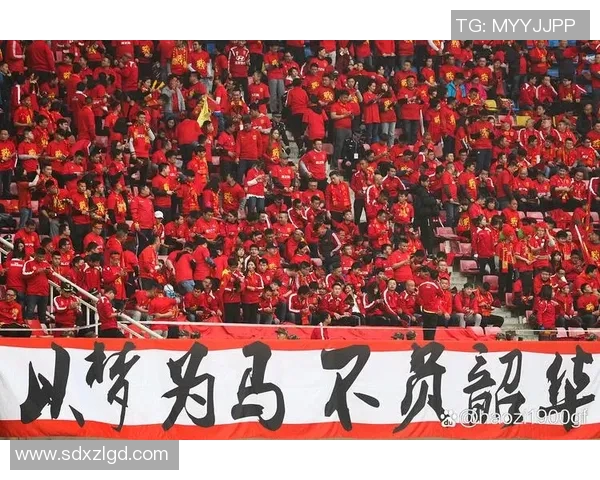 武汉足球队实力大提升引发热议球迷期待新篇章