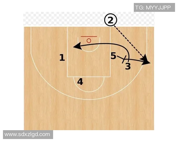 西安篮球队的灵活战术揭秘与球员成长之路探讨