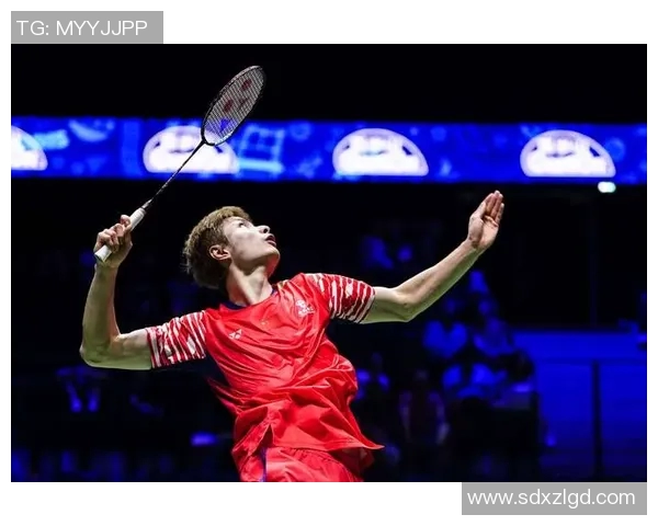 羽毛球状态排行榜揭晓上海羽毛球队荣登第六名展现强劲实力