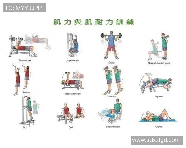 西安乒乓球队耐力表现分析及其对训练效果的影响探讨