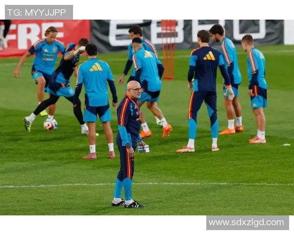 西班牙国家队世界杯预选赛配合分析与战术点评