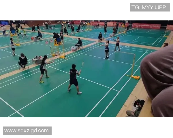 重庆羽毛球队与杭州羽毛球队赛后状态分析与总结