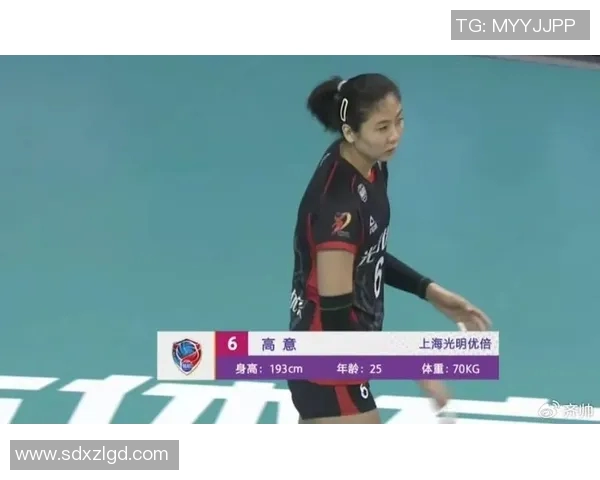 上海排球队以85分领跑精英赛积分榜展现强劲实力