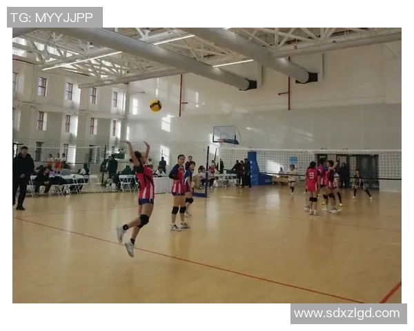 北京排球队在邀请赛中的灵活性表现与战术创新分析