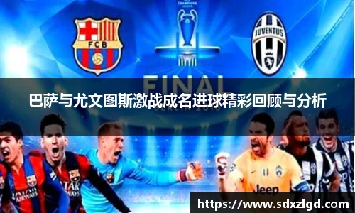 VSport胜利因您更精彩