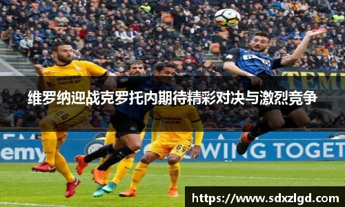 VSport胜利因您更精彩