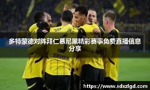 VSport胜利因您更精彩