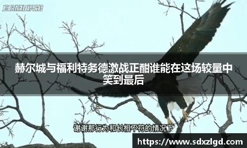 VSport胜利因您更精彩