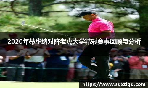 VSport胜利因您更精彩