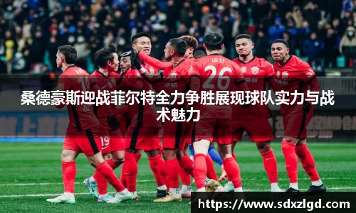 VSport胜利因您更精彩