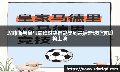 埃菲斯与皇马巅峰对决谁能笑到最后篮球盛宴即将上演