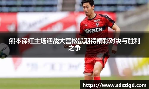 VSport胜利因您更精彩