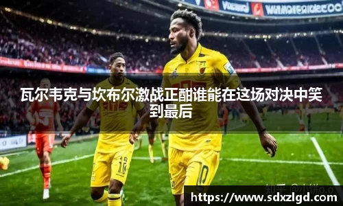 VSport胜利因您更精彩
