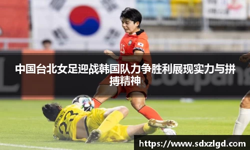 VSport胜利因您更精彩
