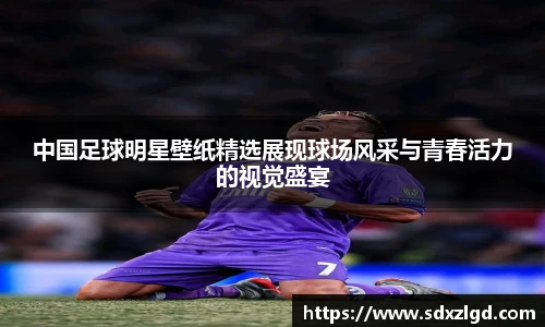 星空综合中国官方网站