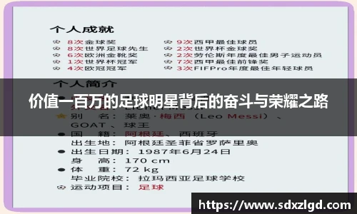 星空综合中国官方网站